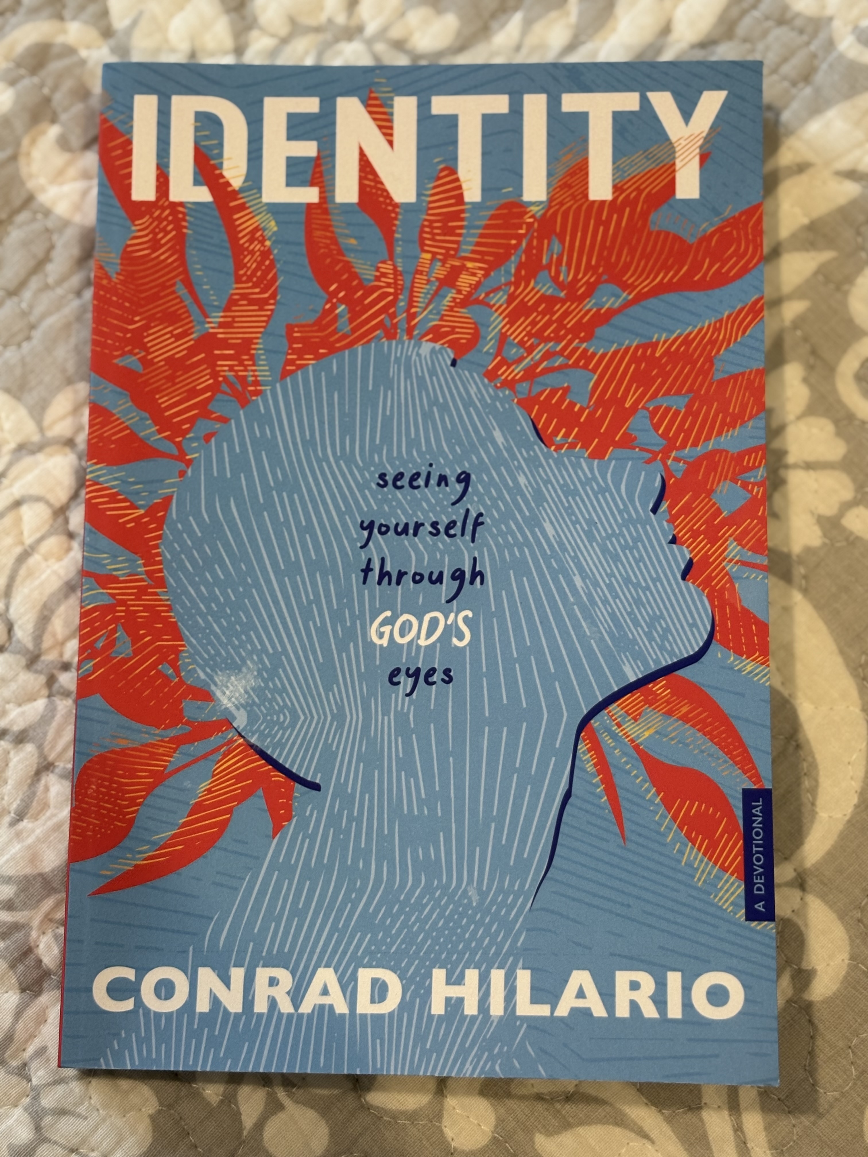 A Book Review of Identity: Seeing Yourself Through God’s Eyes